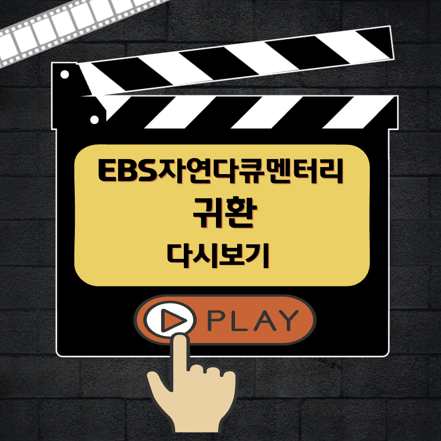 자연다큐멘터리 귀환 다시보기 방송일 줄거리 총정리
